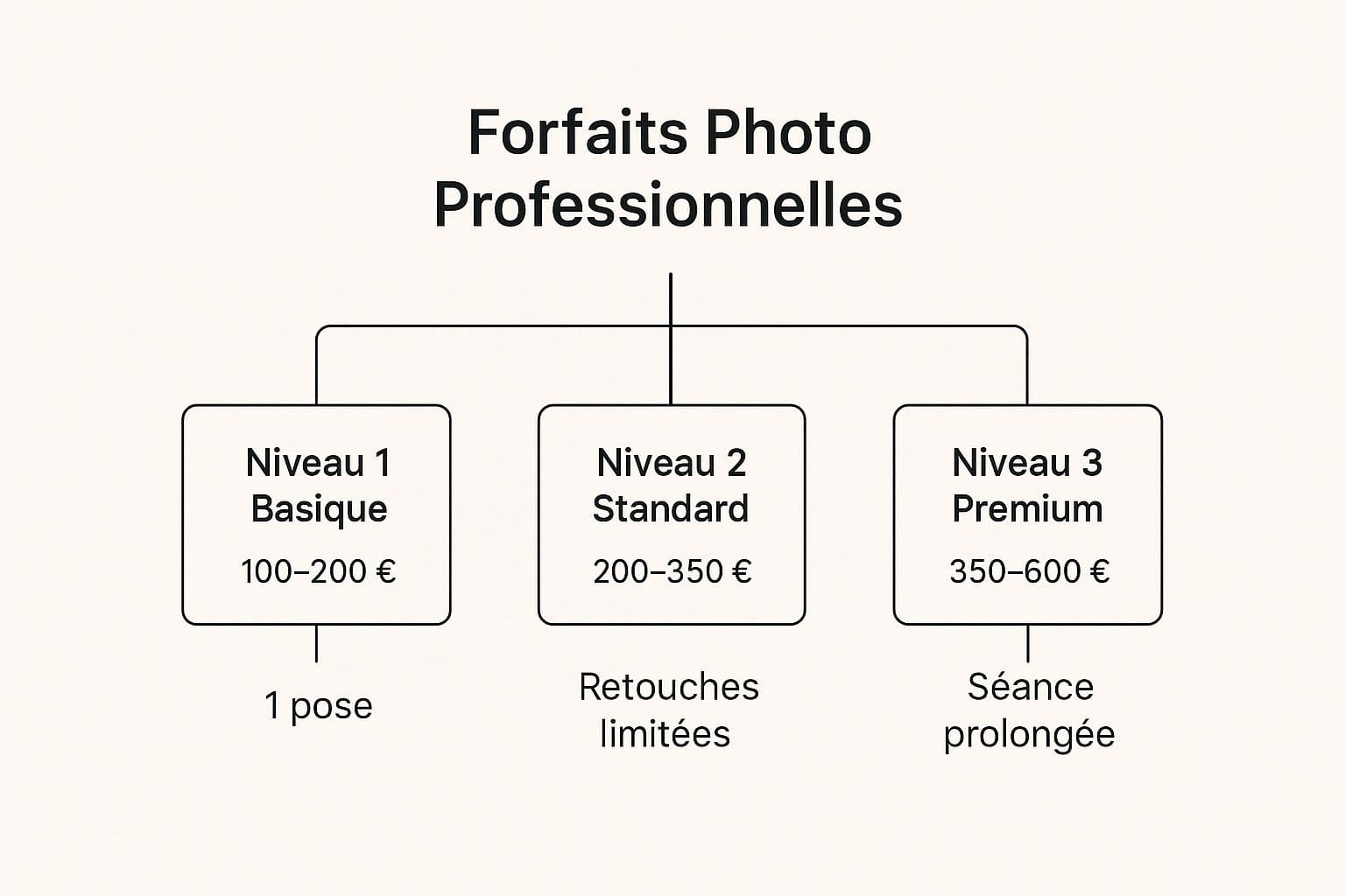 Infographic about photo professionnelle prix